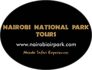 Nairobi National Park safari